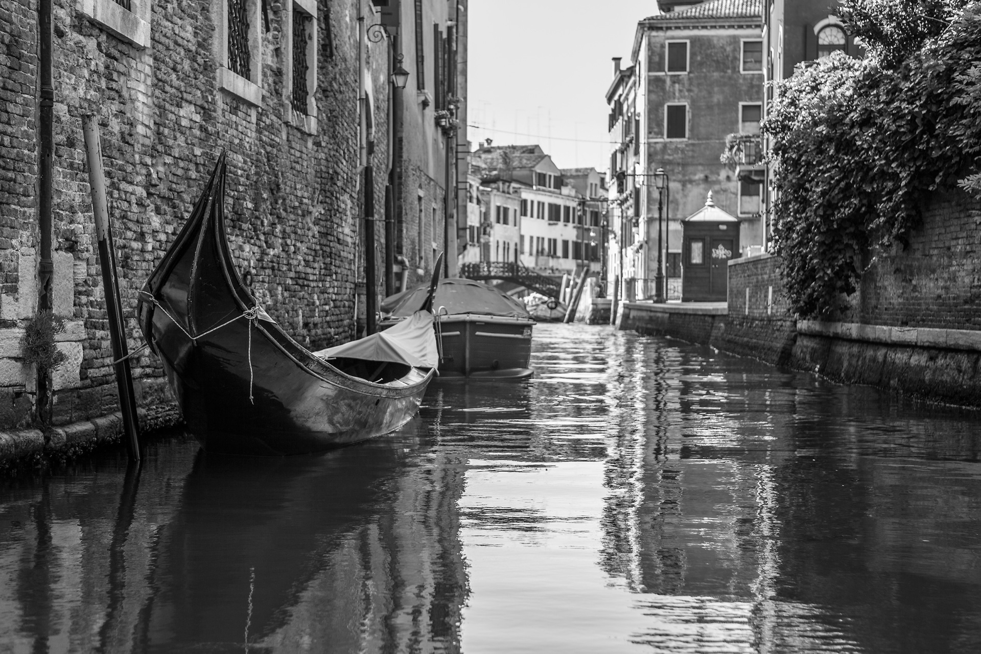 Venezia - Italy